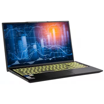 Captiva Notebook Power Starter I99-002GE i5-1335U (17,3 inch, 32GB, 500GB SSD, Intel Iris Xe Graphics, Win 11 Home)