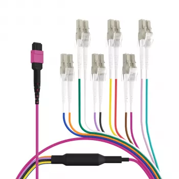 EFB Elektronik MPO-PLUS (F) auf LC Trunk-Kabel, OM4, 12 Fasern, Typ B, LSZH, Erika Violet, 1m MPOF12LCOM4-1
