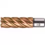 BDS HSSVarioPLUS Kernbohrer 18 mm Schnitttiefe 55 mm Weldon-Schaft (KBL-VP018)
