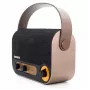 AIWA RBTU-600 tragbares Bluetooth-Radio mit FM, USB, AUX-in, MicroSD, wiederaufladbarem Akku