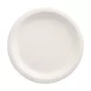 PAPSTAR pure Zuckerrohr Teller rund 230 mm 12er-Pack kompostierbar mikrowellengeeignet 89748