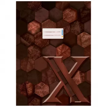 HERMA Heftschoner X, Pappe, DIN A4, Braun, mit Beschriftungsfeld, 10 Stück (20092)