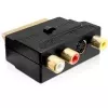 Wentronic Goobay SCART Adapter, SCART Stecker auf 3 RCA Buchse + 4-Pin Mini-DIN Buchse, Schwarz 50499
