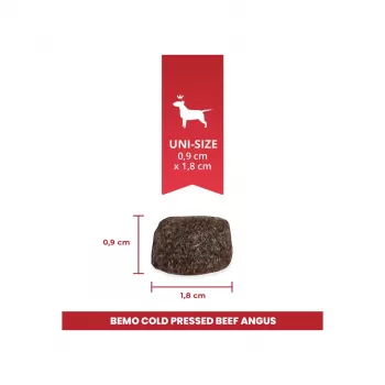 BEMO Kaltgepresstes Rindfleisch Angus Mono Trockenfutter für Hunde - 1kg