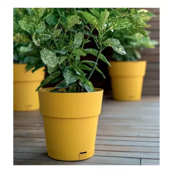 STEFANPLAST Ethica Blumentopf mit Untersetzer Ø20x19cm Senfgelb