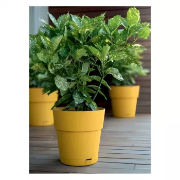 STEFANPLAST Ethica Blumentopf mit Untersetzer Ø40x39cm Senfgelb