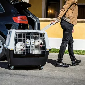 STEFANPLAST Gulliver Touring 80 Transportbox für große Hunde, Dunkelgrau/Hellgrau, Flugzeugzugelassen