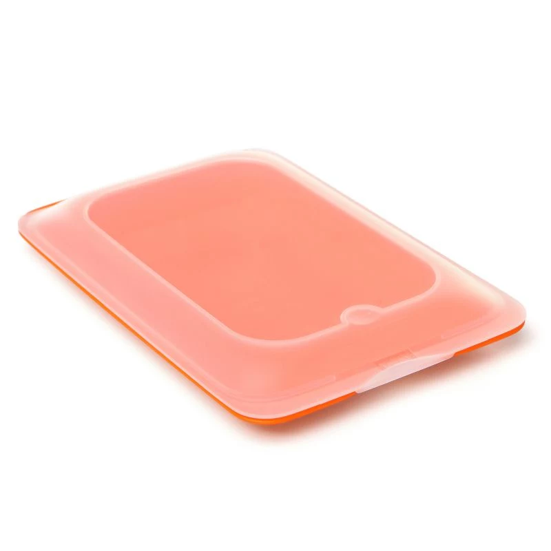 TATAY Frischhaltedose für Aufschnitt 17x25,2x3,2 cm sortiert