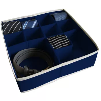 ORDINETT Box mit Fächern L 30,5x30,5x10 cm Blau