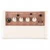 Blackstar Fly 3 Acoustic Mini Amp - 3W Akustikgitarrenverstärker