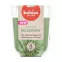 BOLSIUS True Scents Rosmarin Duftkerze im Glas, 80x73 mm
