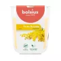 BOLSIUS True Scents Mimosa Duftkerze im Glas Ø80x73mm