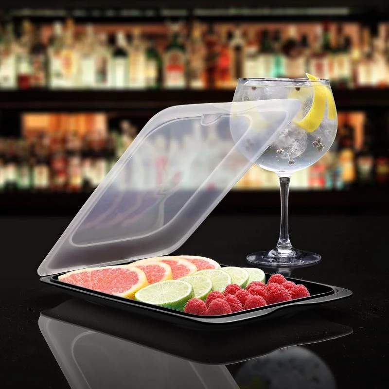 TATAY Aufbewahrungsbehälter für Obst und Sushi-Cocktail 17x25,2x3,2 cm Schwarz