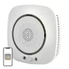 MOES WSS-S-GL Wi-Fi Gasdetektor