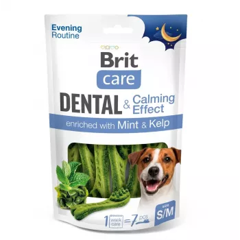 BRIT Dental Zahnbürste S/M Calming Effect 140g
