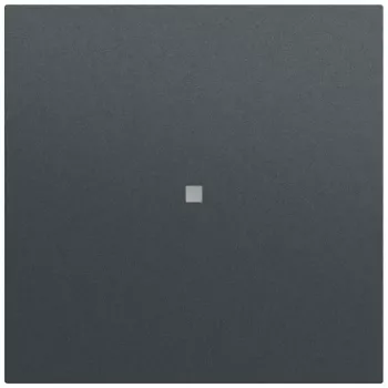 Gira System 70 Wippe mit Kontrollfenster, Anthrazit (329073)