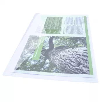 Rapesco ECO GRS A3 Dokumentenhüllen transparent (10er-Pack) 1817