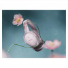 Bose QuietComfort Kopfhörer Pink