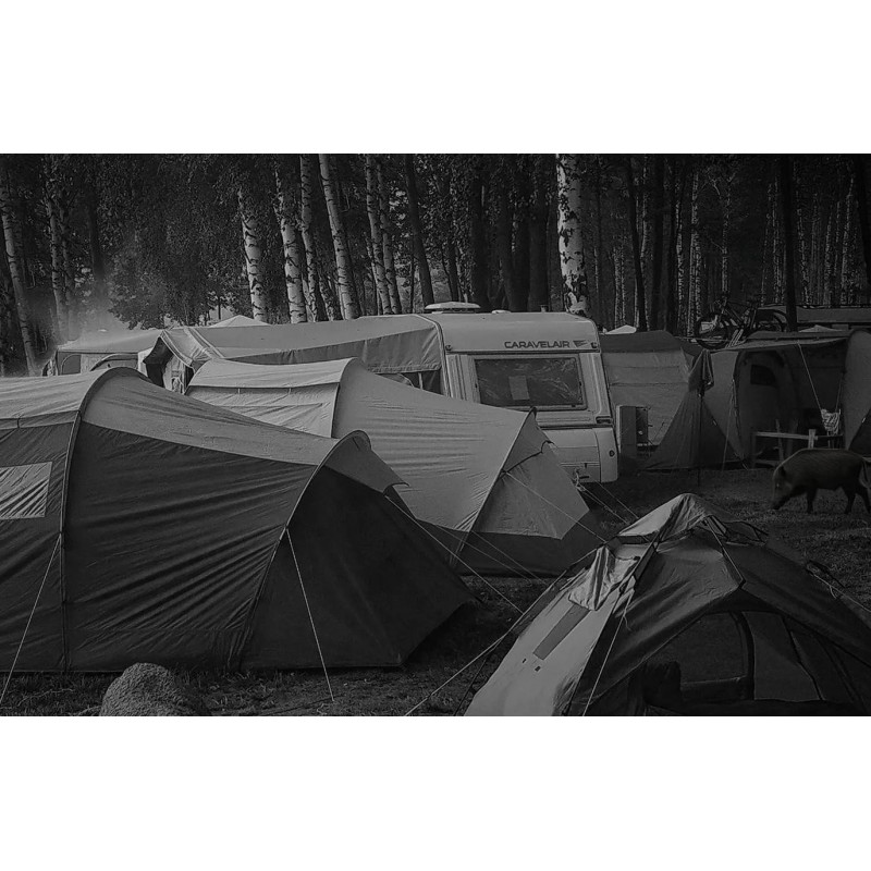 Orllo Huntercam 6 SIM 4G Wildkamera mit Solarpanel