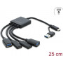 Delock 4 Port USB 5 Gbps Kabel-Hub mit USB Type-C™ oder USB Type-A Stecker auf 2 x USB Type-A Buchse + 2 x USB Type-C™ Buchse - 25 cm (64375)