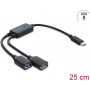 Delock 2 Port USB 5 Gbps Typ-A Kabel-Hub mit USB Typ-C™ Anschluss 25 cm (64373)