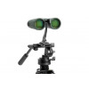Celestron Nature DX 8x42 Fernglas BaK-4 Schwarz, Grün