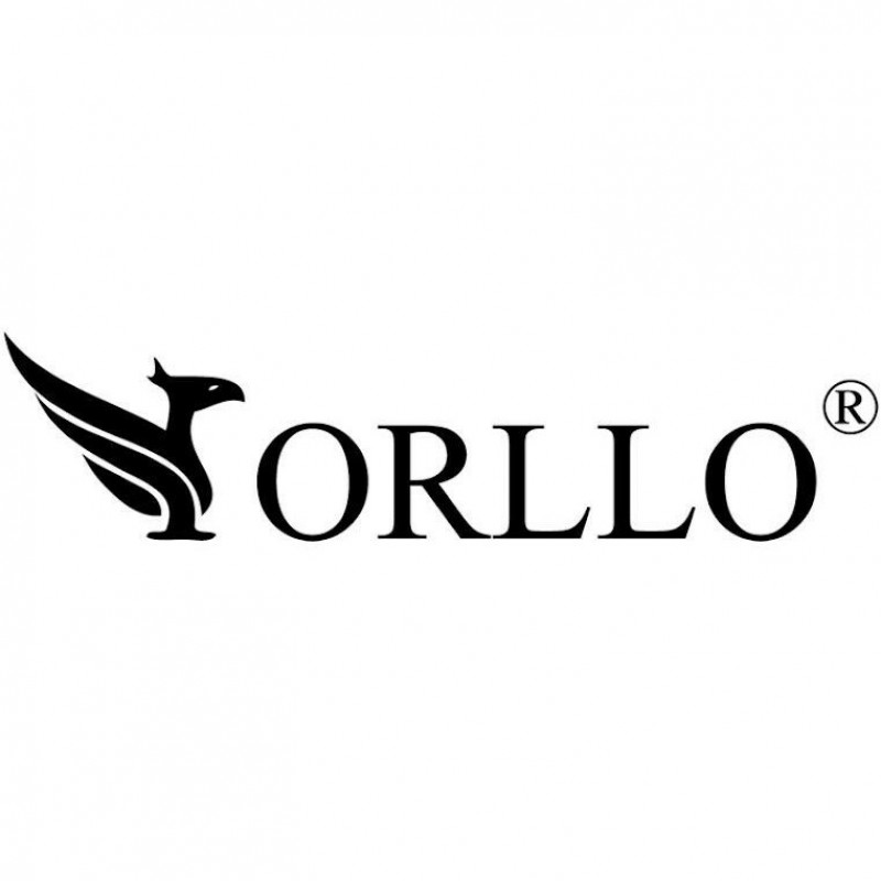 IP-Kamera Orllo R2 PRO+ Außenkamera drehbar POE Zoom x 22
