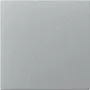 GIRA 349626 Wippe gerade, System 55, Farbe Alu
