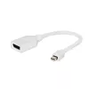 Gembird Mini DisplayPort auf DisplayPort Adapter, Weiß