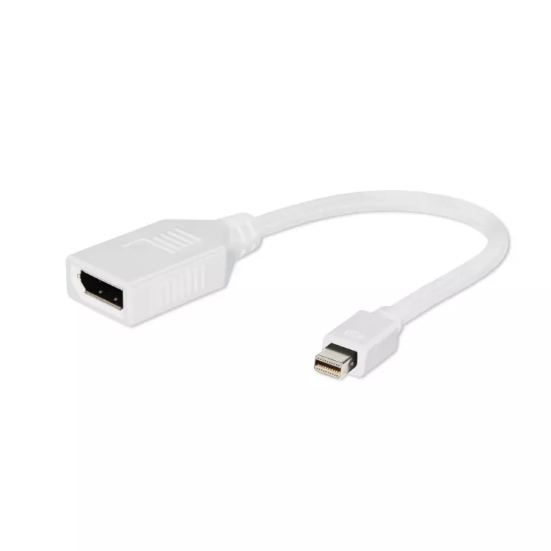Gembird Mini DisplayPort auf DisplayPort Adapter, Weiß
