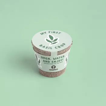 Resetea My First Crops – Basilikum-Anzuchtset (Erst440)