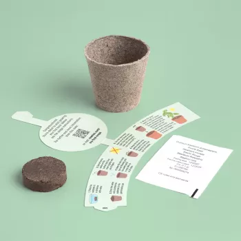 Resetea My First Crops – Basilikum-Anzuchtset (Erst440)
