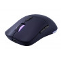 Lenovo Legion M220 RGB Wireless Gaming-Maus, 2,4 GHz / Bluetooth / Kabel, Nebula Purple (GY51V60439)