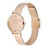 Daniel Wellington DW00100795 Damenuhr, 28 mm