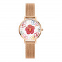 Daniel Wellington DW00100722 Damenuhr, 36 mm