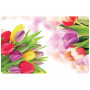 Asi Collection Platzset, 43,5 x 28 cm, Tulpenmuster