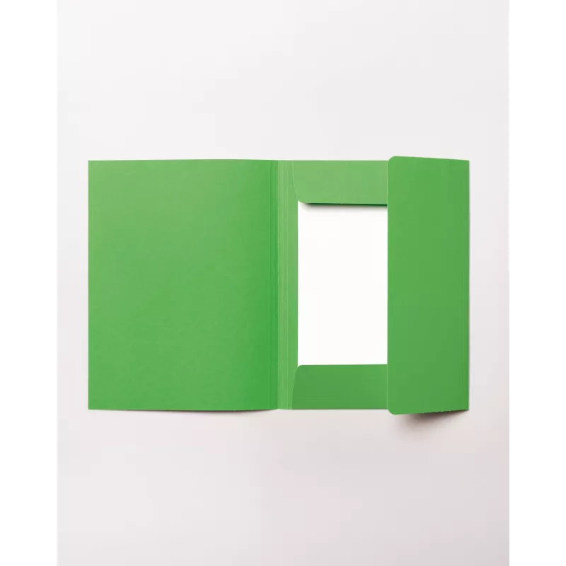 folia Sammelmappe DIN A4, grün