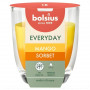 Bolsius Everyday Duftkerze im Glas Ø70 x 80 mm, Mango Sorbet