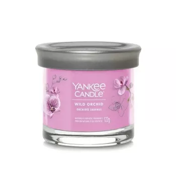 Yankee Tumbler-Kerze mit 1 Docht, Wild Orchid