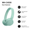 Sony WH-CH530 kabellose Bluetooth-Kopfhörer, mint