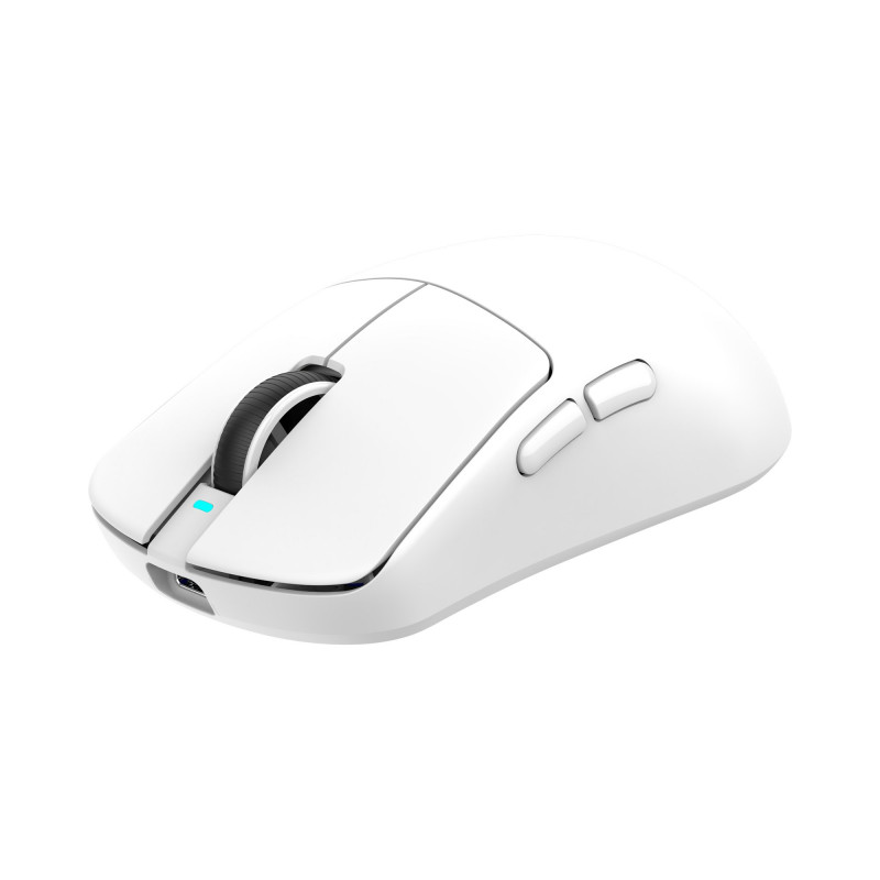 White Shark BORS-W WGM-5021 kabellose Gaming-Maus, 12000 DPI, schwarz