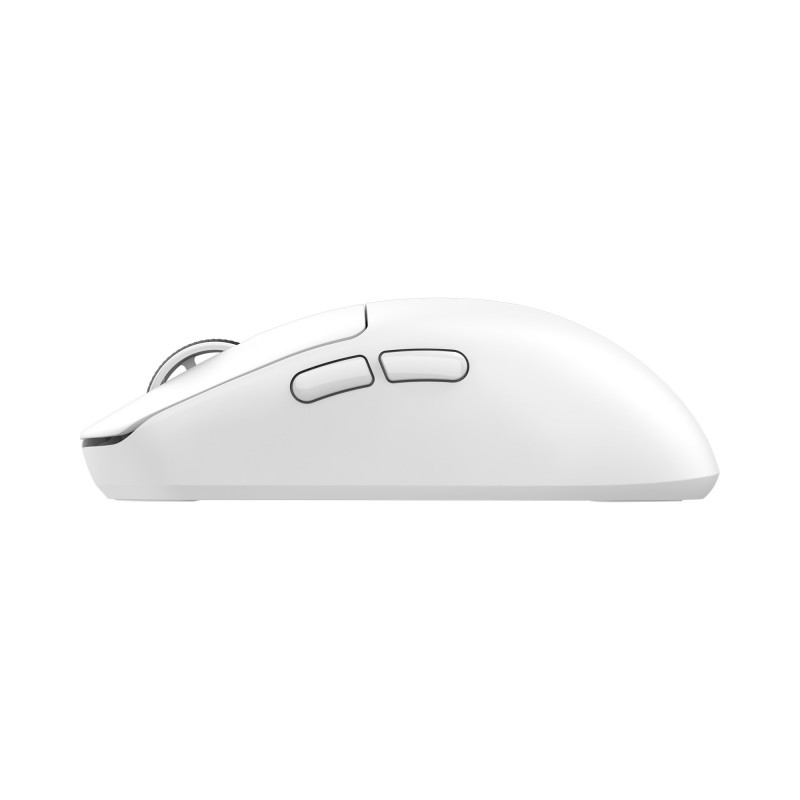 White Shark BORS-W WGM-5021 kabellose Gaming-Maus, 12000 DPI, schwarz