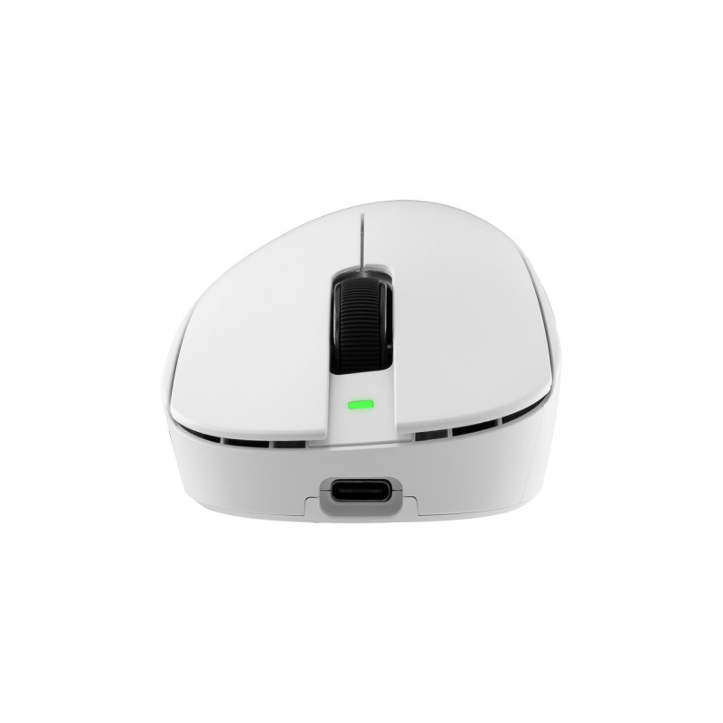 White Shark CAMILLUS WGM-9013 Gaming-Maus, weiß