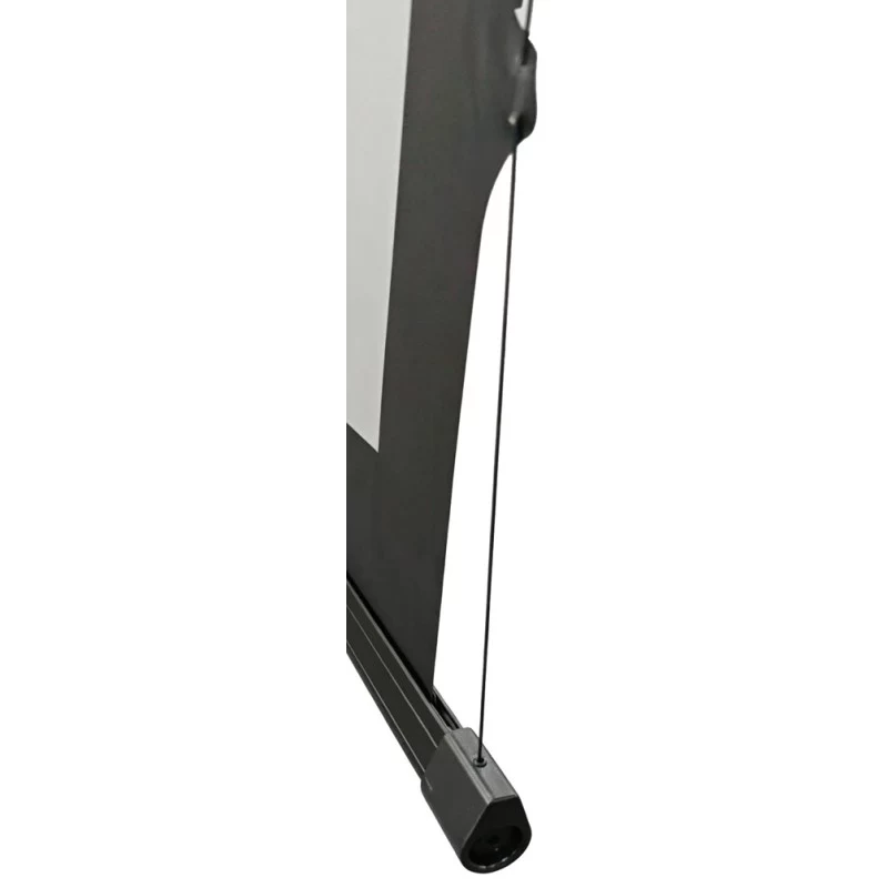 Reflecta TensioLine Motor RC 87780 motorisierte Leinwand, 224x224 cm, 1:1