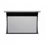 Reflecta TensioLine ALR Motor RC 87800 motorisierte Leinwand, 229x158 cm, 16:9