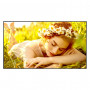 LG 55UL5Q-M 55-Zoll-LCD-Display, 3840 x 2160, 4K Ultra HD, 16:9