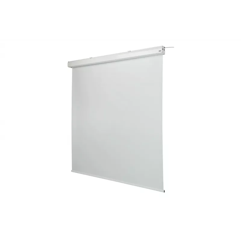 celexon Expert Motorleinwand, 156" (396 cm), 230 V