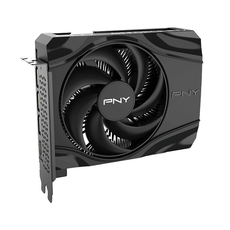 PNY GeForce RTX 5060 Single Fan Grafikkarte, 8 GB GDDR7 (VCG50608SFXPB1)
