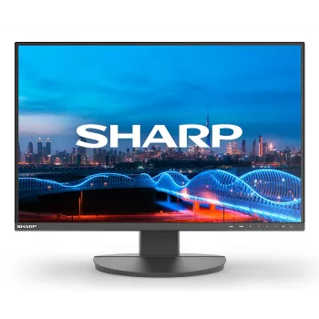 Sharp MultiSync EA241W 24-Zoll-IPS-Business-Monitor, 1920x1200, schwarz