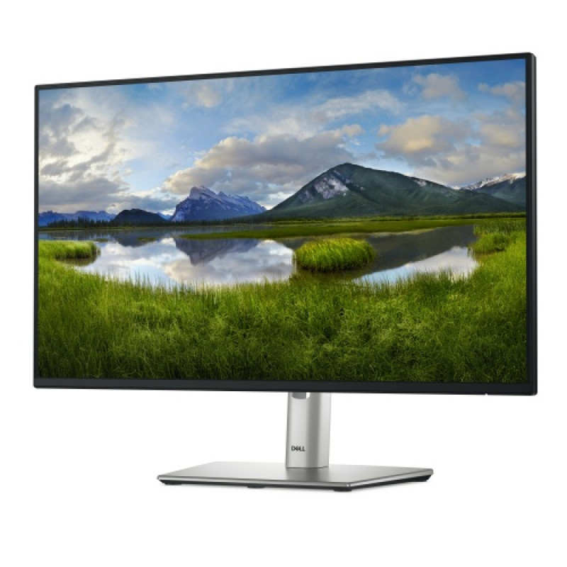 Dell Pro 24 Plus P2425HHF Monitor, 24 Zoll, IPS, FHD 1920x1080, 100 Hz, halogenfrei